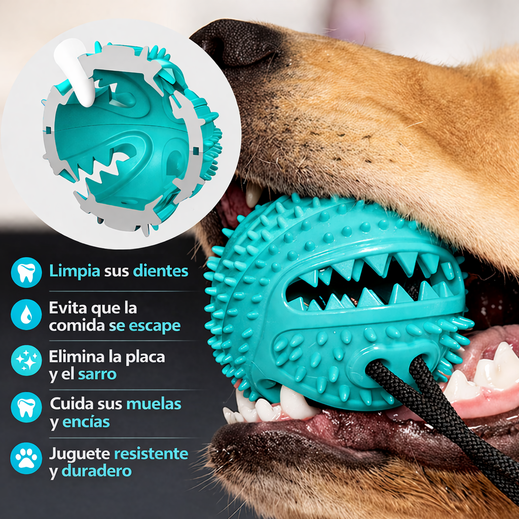 ZenCup™ - Juguete Antiestrés con Ventosa